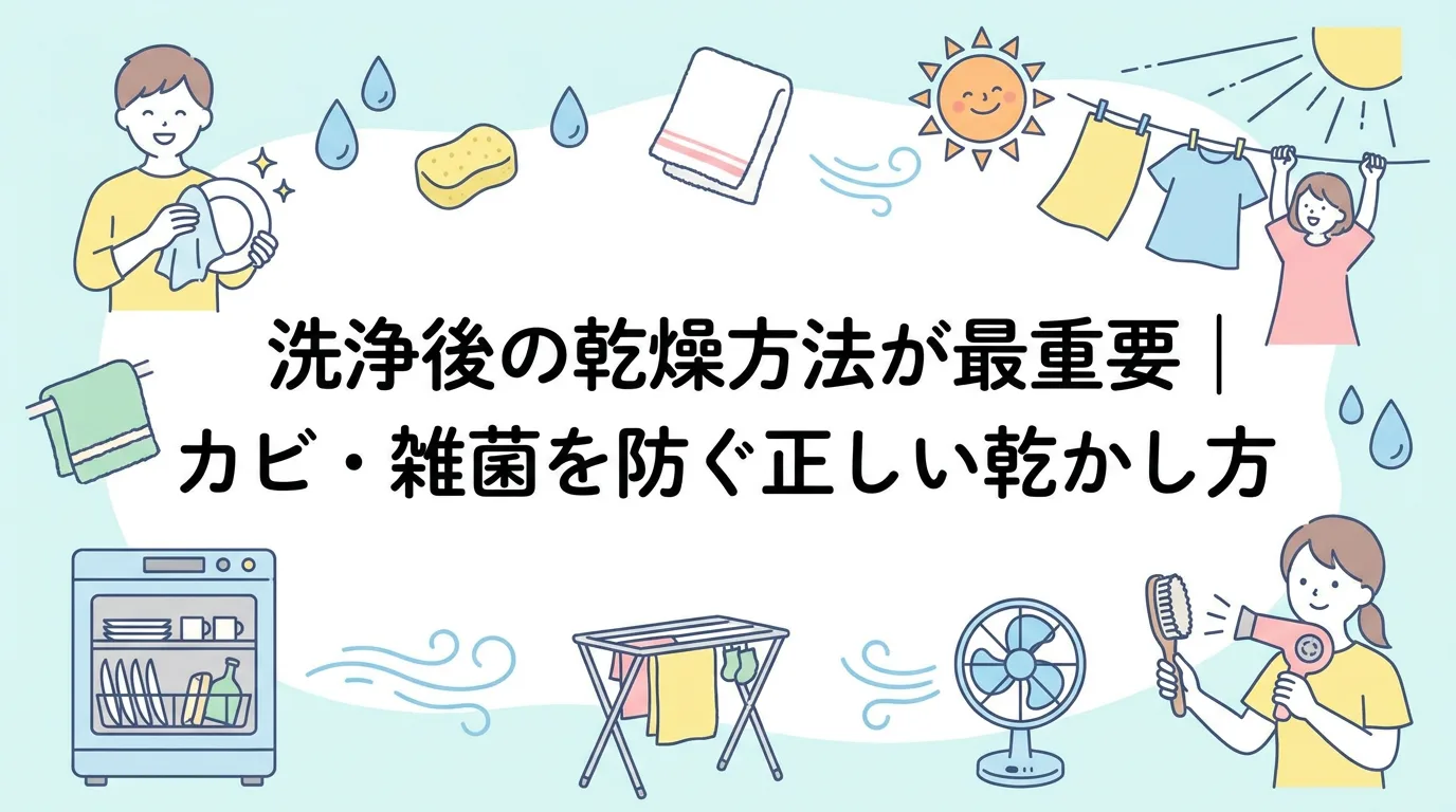 洗浄後の乾燥方法が最重要|カビ・雑菌を防ぐ正しい乾かし方